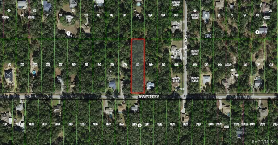 1235 E Bismark Street, Hernando, FL 34442 - #2