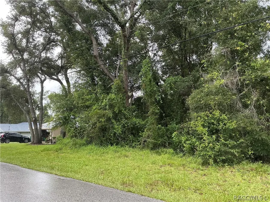 1235 E Bismark Street, Hernando, FL 34442 - #3