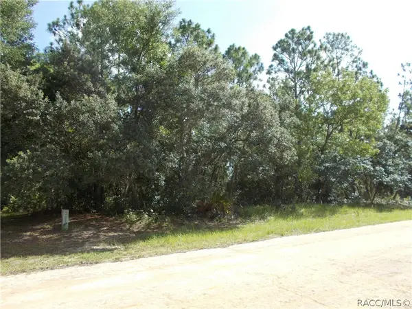 4347 W Pansy Lane, Beverly Hills, FL 34465