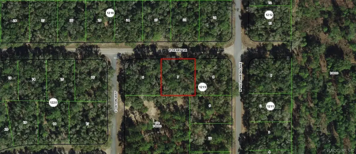 1823 E Derby Drive, Dunnellon, FL 34434 - #1
