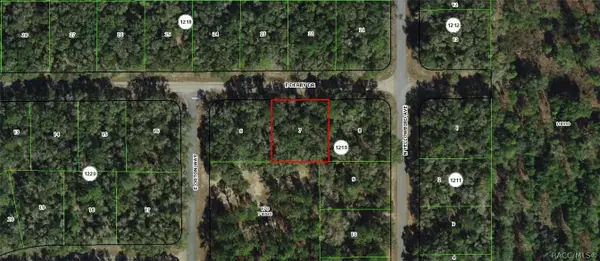 1823 E Derby Drive, Dunnellon, FL 34434