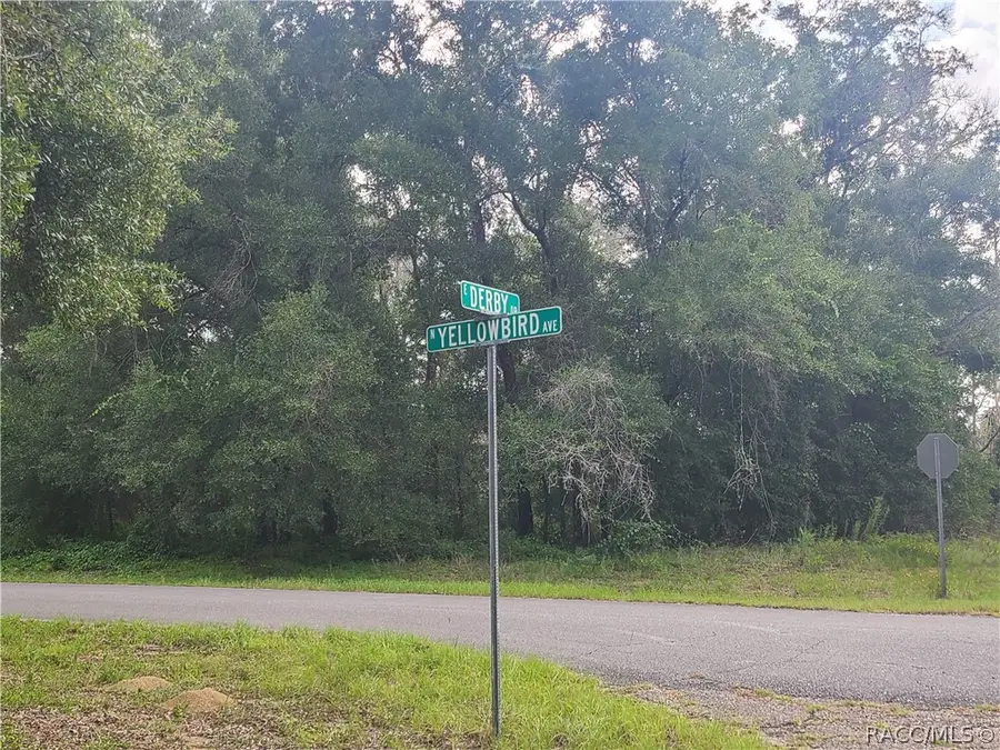 1823 E Derby Drive, Dunnellon, FL 34434 - #2