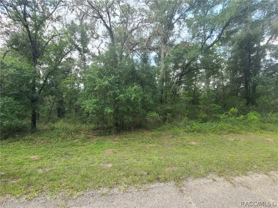 1823 E Derby Drive, Dunnellon, FL 34434 - #3