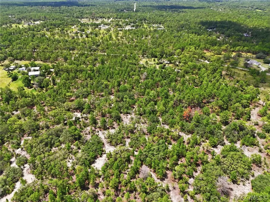 0 N Matsonford Avenue, Dunnellon, FL 34433 - #2