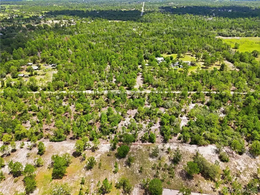 0 N Matsonford Avenue, Dunnellon, FL 34433 - #3