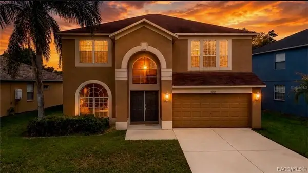 10526 Beneva Drive, Tampa, FL 33647