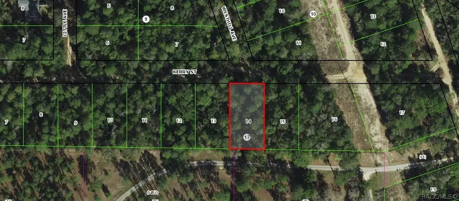 2801 Kerry Street, Inverness, FL 34452 - #3