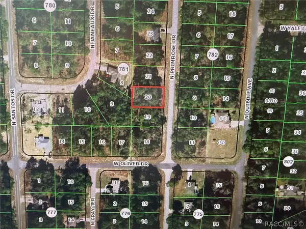 7710 N Primrose Drive, Citrus Springs, FL 34434