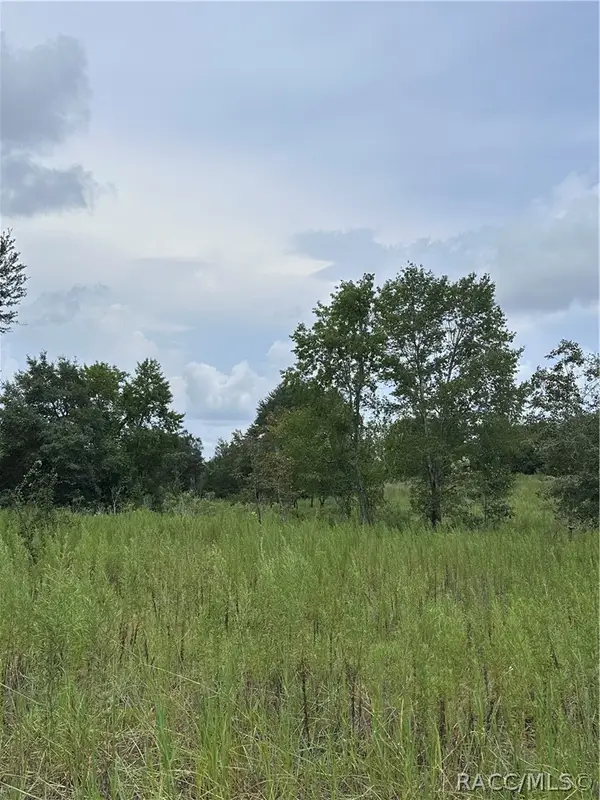 131 N Tighe Drive, Inverness, FL 34453