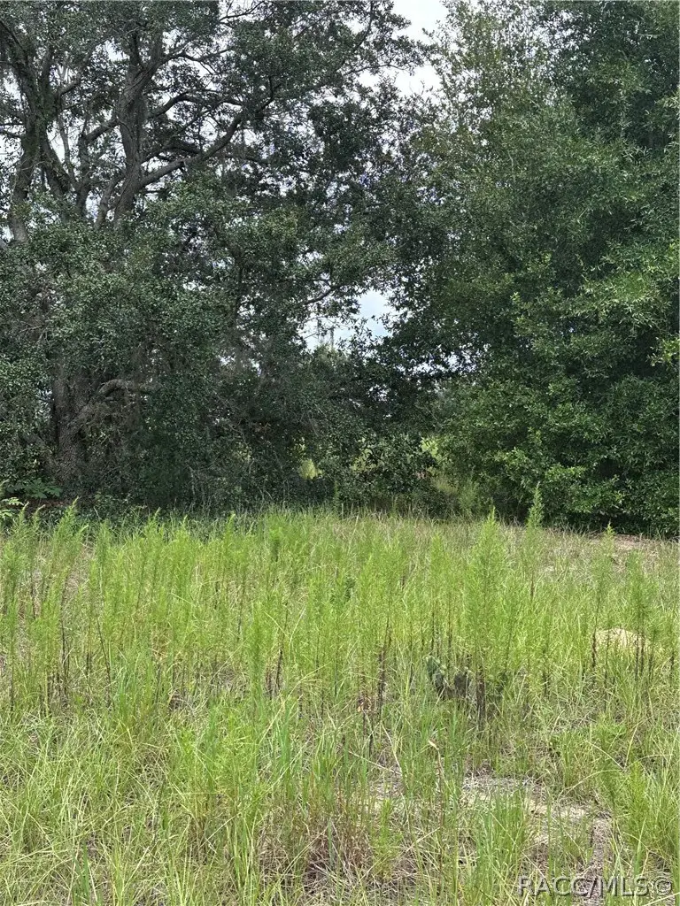 131 N Tighe Drive, Inverness, FL 34453 - #2