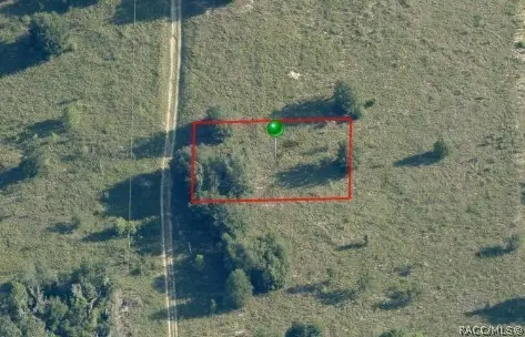 131 N Tighe Drive, Inverness, FL 34453 - #3