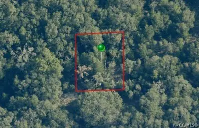 2061 E Old Colony Lane, Inverness, FL 34453 - #2