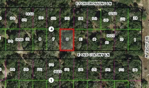 2061 E Old Colony Lane, Inverness, FL 34453 - #3