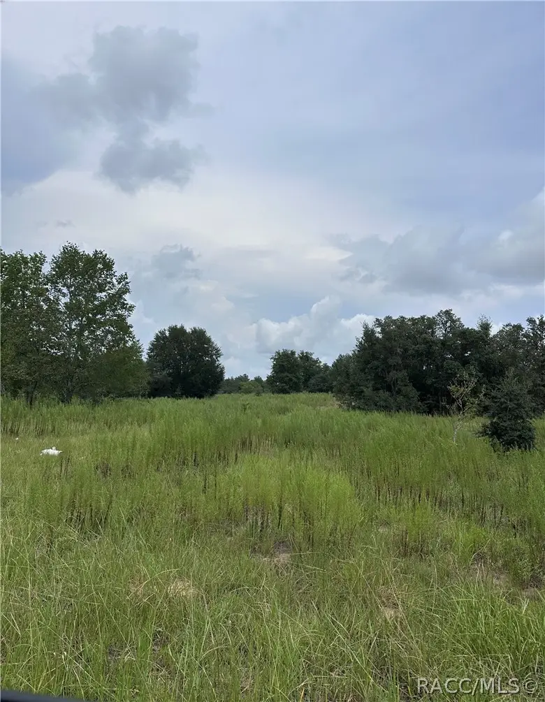 2171 E Four Seasons Lane, Inverness, FL 34453 - #1