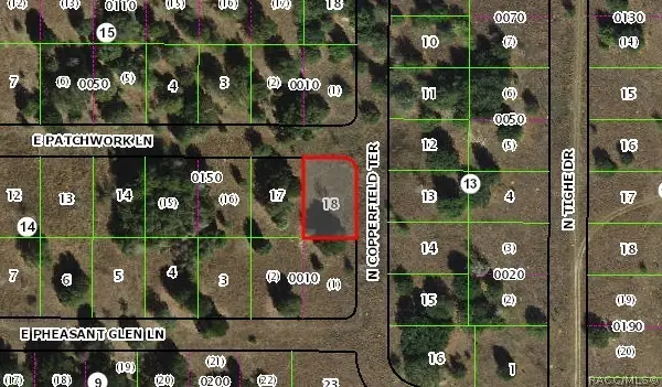 2070 E Patchwork Lane, Inverness, FL 34453 - #3