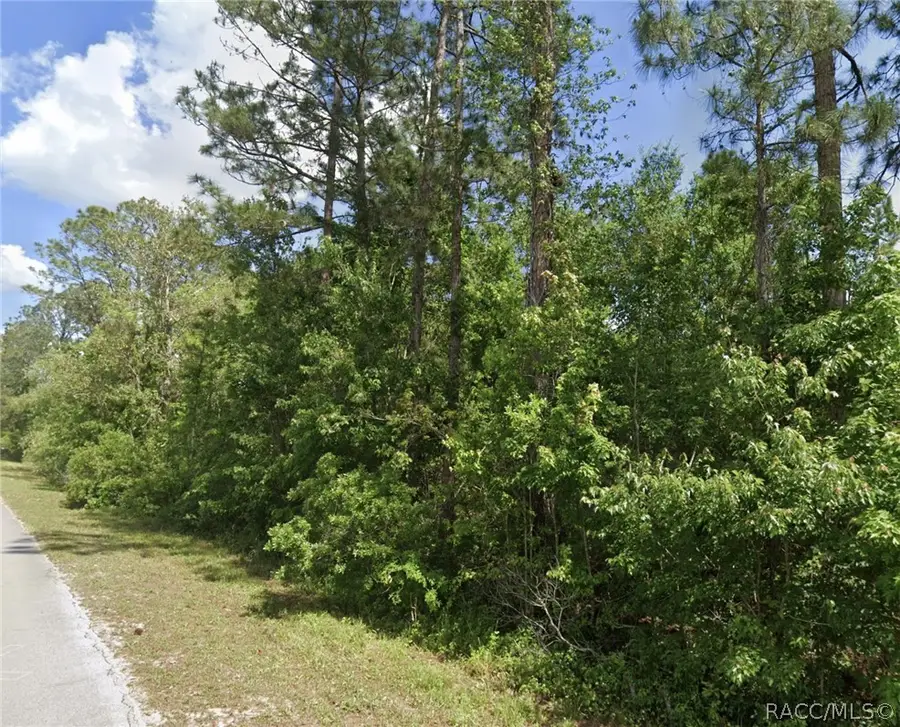 TBD Oil Well Road, Clermont, FL 34714 - #3