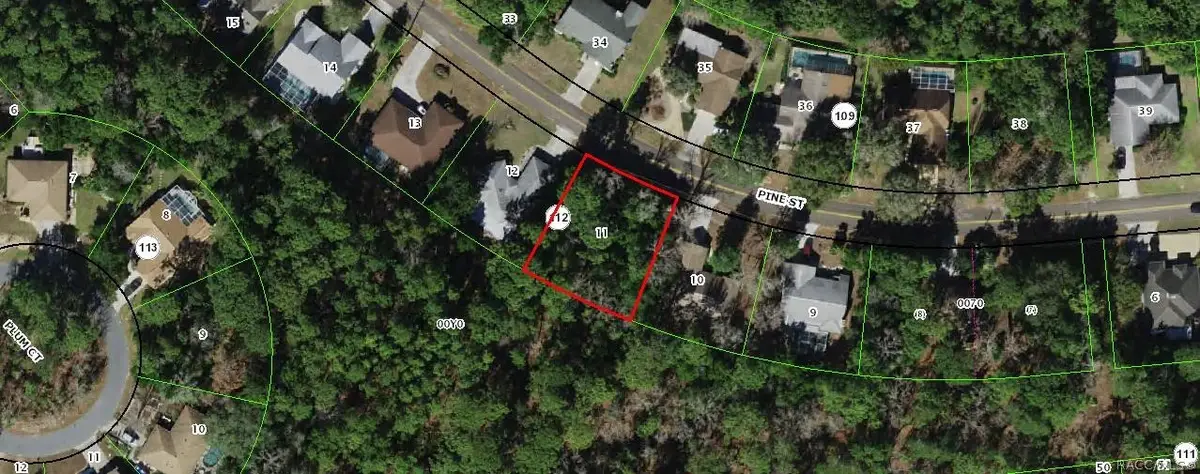 91 Pine Street, Homosassa, FL 34446 - #1