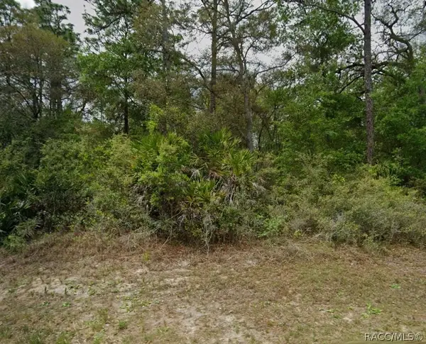 8846 N Gilovu Drive, Citrus Springs, FL 34434