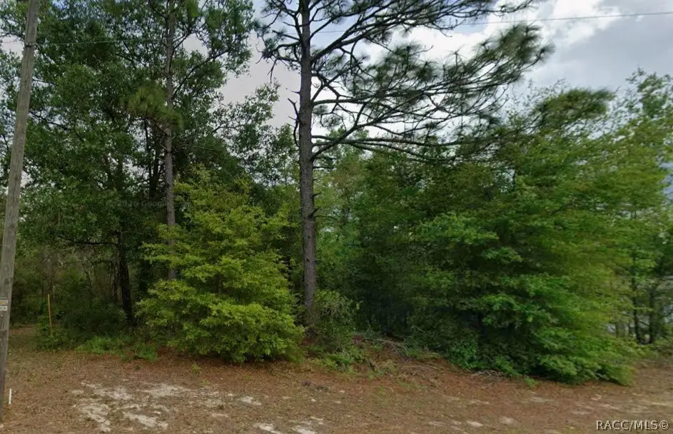 8829 N Amboy Drive, Citrus Springs, FL 34434 - #1