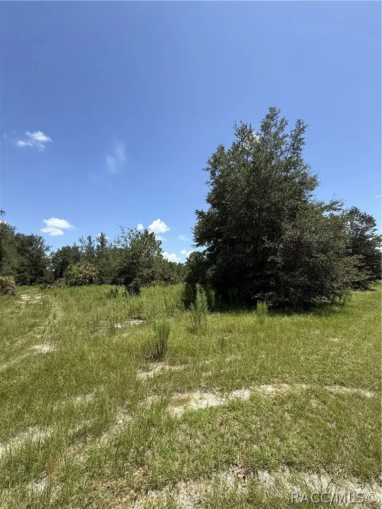 8375 W Lawton Lane, Crystal River, FL 34428 - #3