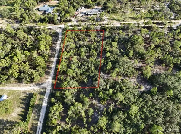 10532 N Turn Around Terrace, Dunnellon, FL 34433