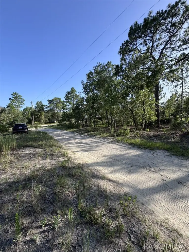 10532 N Turn Around Terrace, Dunnellon, FL 34433 - #2
