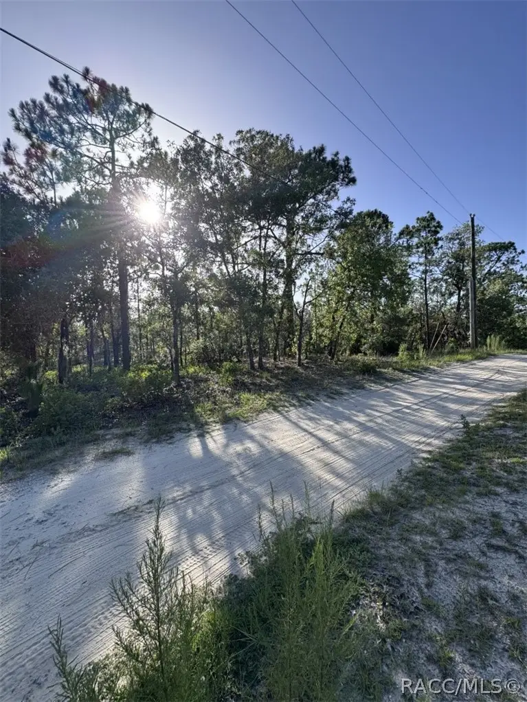 10532 N Turn Around Terrace, Dunnellon, FL 34433 - #3