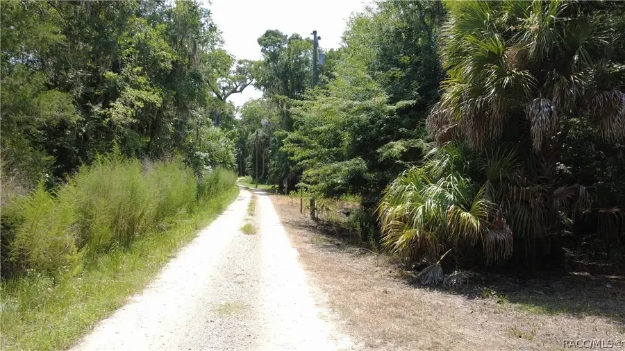 12445 W Foss Groves Path, Inglis, FL 34449 - #3