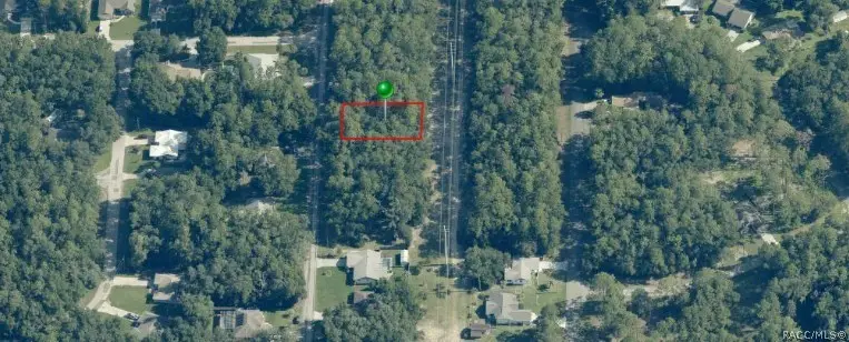 10305 N Allwood Terrace, Citrus Springs, FL 34434 - #2