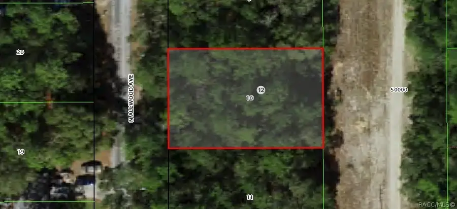 10305 N Allwood Terrace, Citrus Springs, FL 34434 - #3