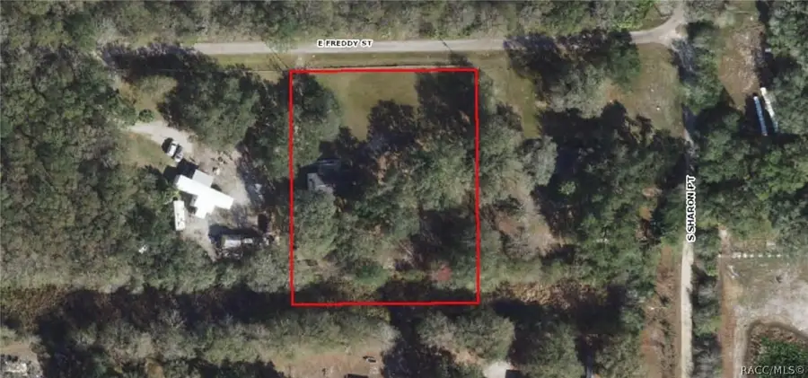 10812 E Freddy Street, Inverness, FL 34450 - #2