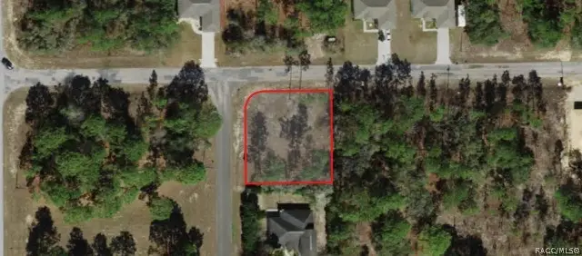 1650 W Lamplighter Street, Citrus Springs, FL 34434 - #1
