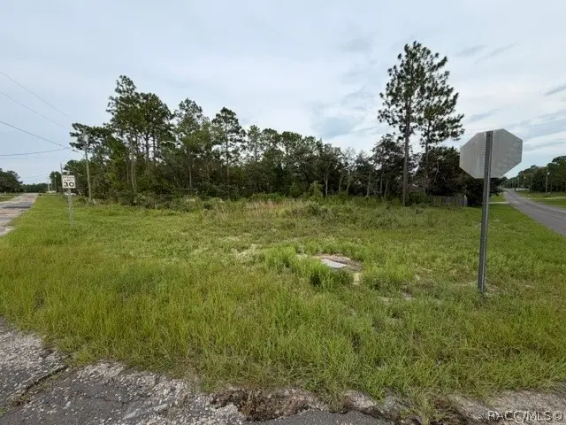 1650 W Lamplighter Street, Citrus Springs, FL 34434 - #3
