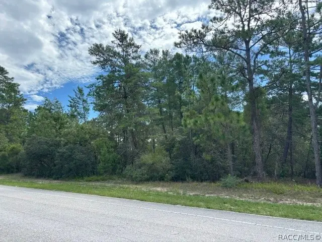 8315 N Citrus Springs Boulevard, Citrus Springs, FL 34433 - #3