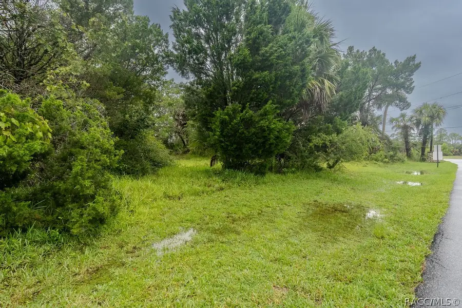 0 Palm Drive, Yankeetown, FL 34498 - #3