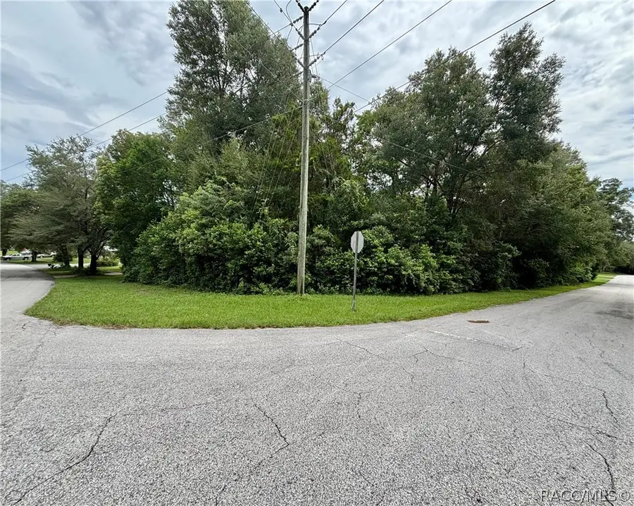 8941 N Golfview Drive, Citrus Springs, FL 34434 - #2