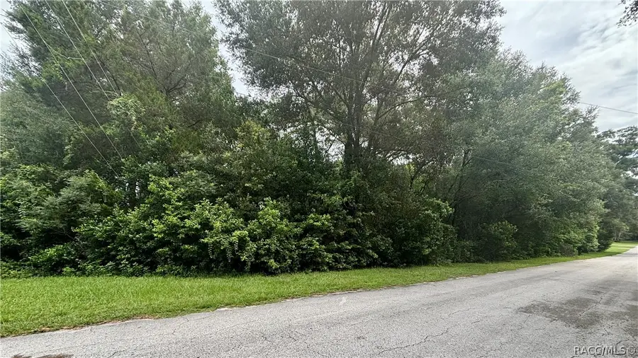 8941 N Golfview Drive, Citrus Springs, FL 34434 - #3