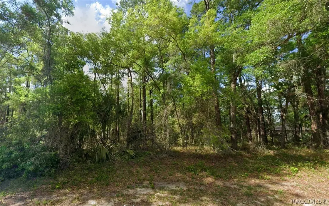 10912 N Airway Loop, Citrus Springs, FL 34434 - #1