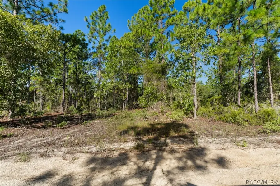 10686 N Statue Point, Dunnellon, FL 34433 - #2