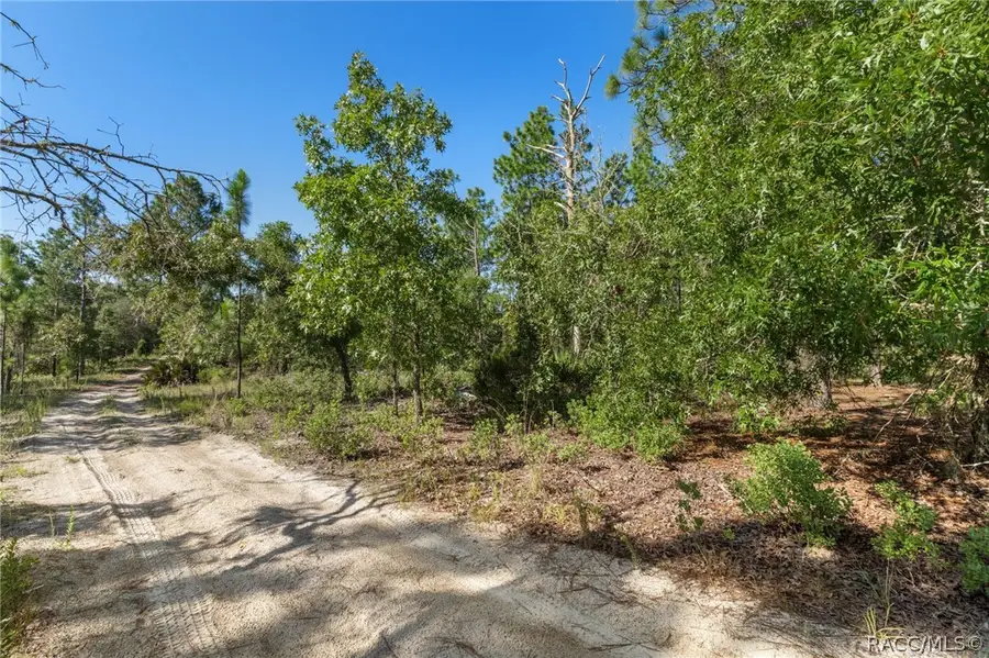 10686 N Statue Point, Dunnellon, FL 34433 - #3