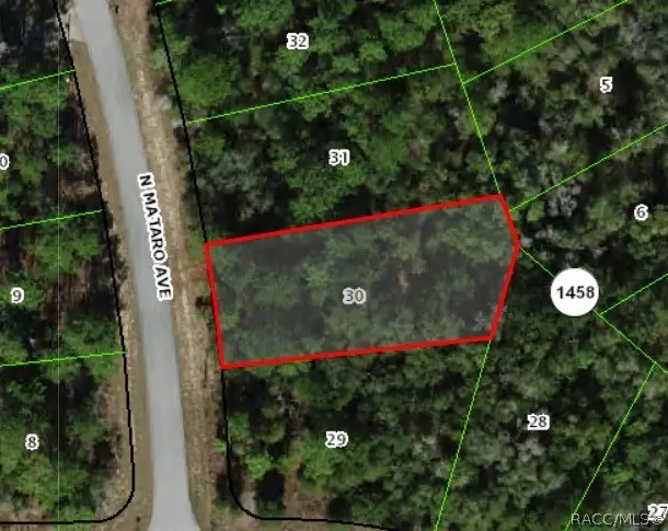 11031 N Mataro Avenue, Citrus Springs, FL 34434 - #1