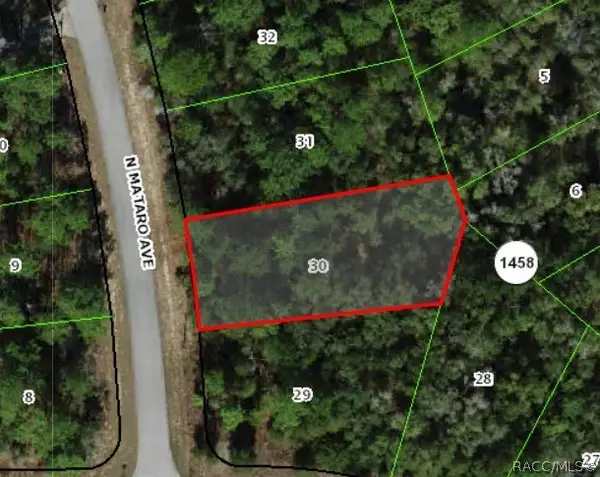 11031 N Mataro Avenue, Citrus Springs, FL 34434
