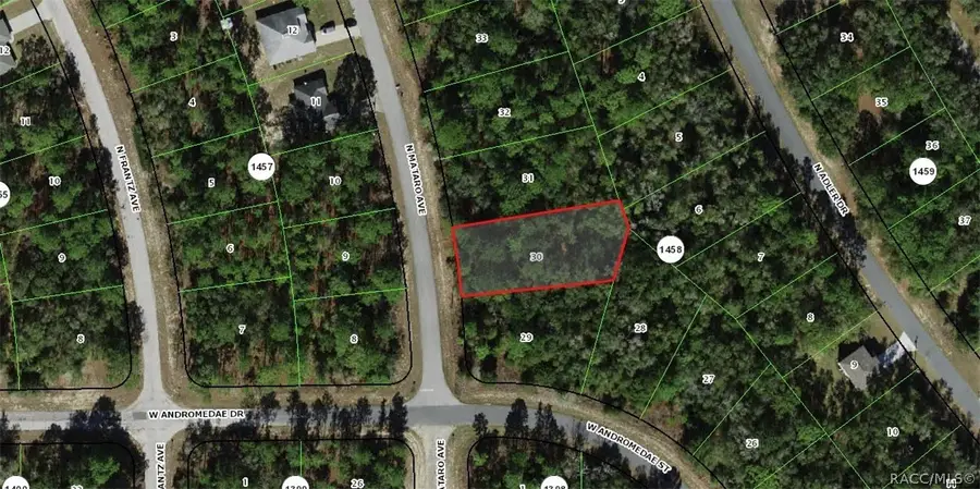 11031 N Mataro Avenue, Citrus Springs, FL 34434 - #2