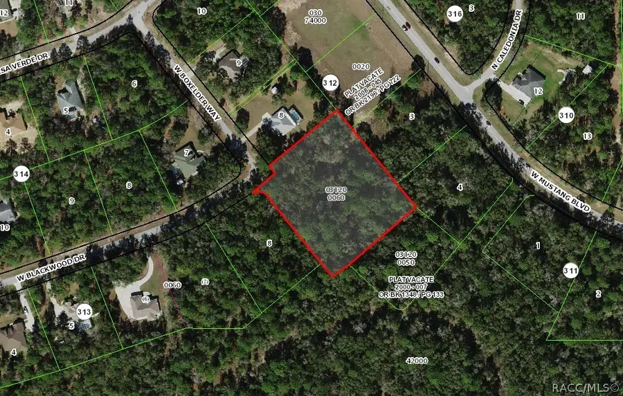 3715 N Boxelder Way, Beverly Hills, FL 34465 - #2