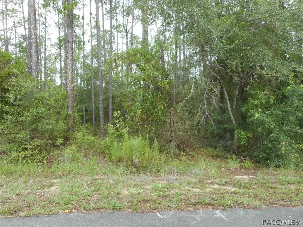 L5 SW Southview Court, Dunnellon, FL 34431 - #1