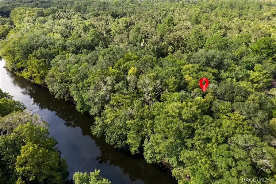 6409 E River Road, Hernando, FL 34442 - #2