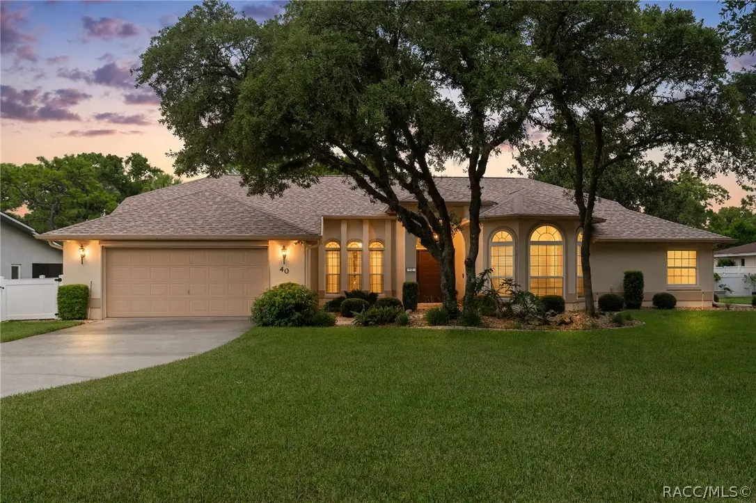 40 Chinkapin Circle, Homosassa, FL 34446 - #1