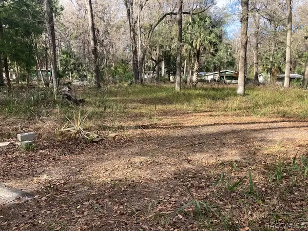 2456 N Jungle Camp Road, Inverness, FL 34453