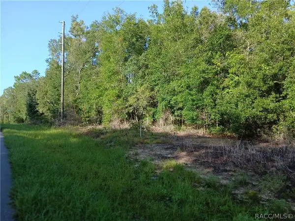10762 N Academy Drive, Citrus Springs, FL 34434