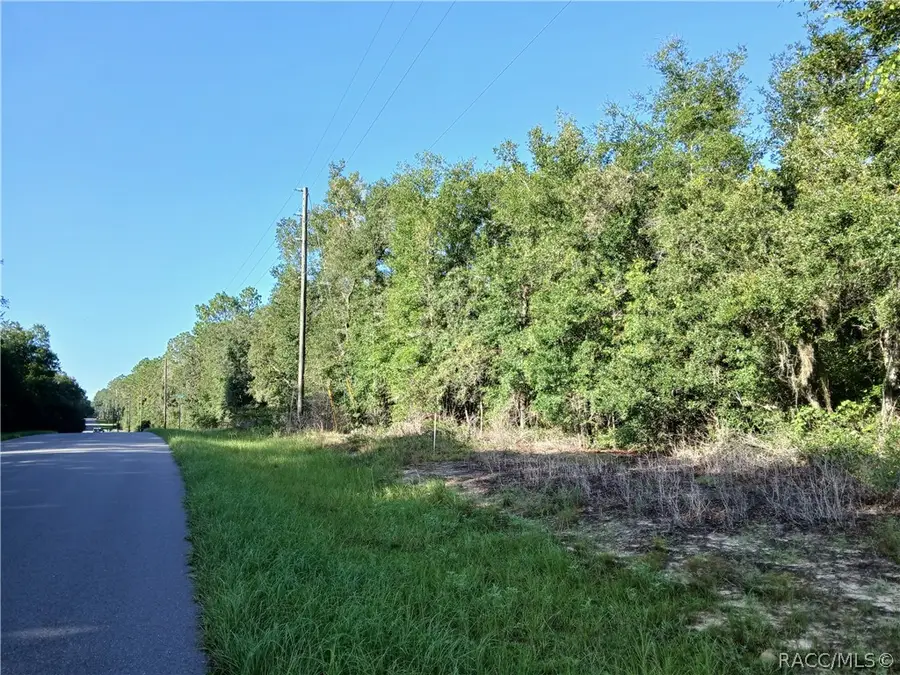 10762 N Academy Drive, Citrus Springs, FL 34434 - #2